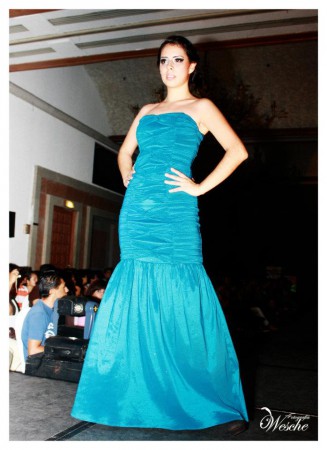 vestido de noche lo consiguen en tiendas sears.